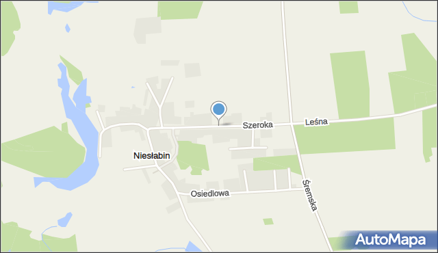 Niesłabin, Szeroka, mapa Niesłabin