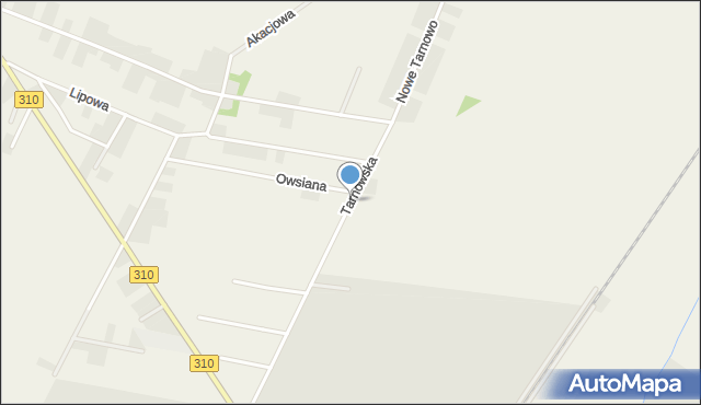 Czempiń, Tarnowska, mapa Czempiń