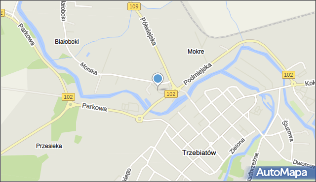 Trzebiatów powiat gryficki, Targowa, mapa Trzebiatów powiat gryficki