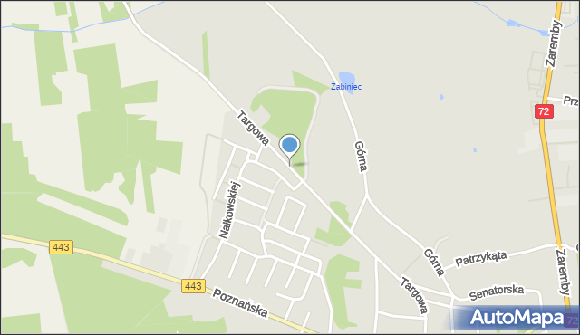 Tuliszków, Targowa, mapa Tuliszków