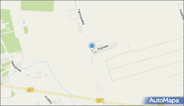 Więckowice gmina Dopiewo, Tarnowska, mapa Więckowice gmina Dopiewo