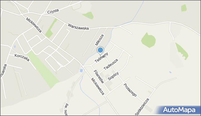 Strzegomiany, Telimeny, mapa Strzegomiany