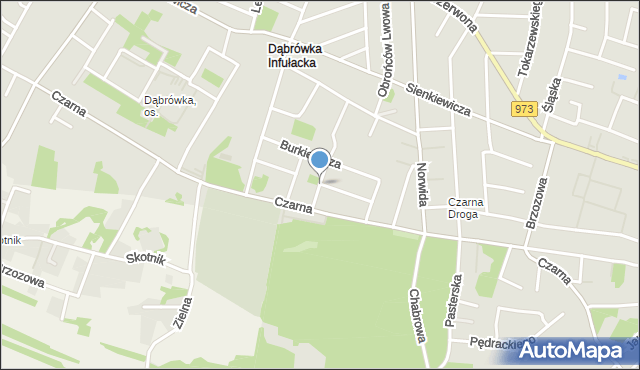 Tarnów, Tenerowicza Mieczysława, mapa Tarnów