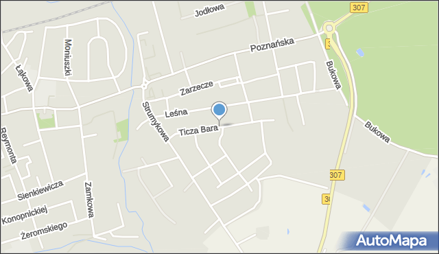 Opalenica powiat nowotomyski, Ticza Bara, mapa Opalenica powiat nowotomyski