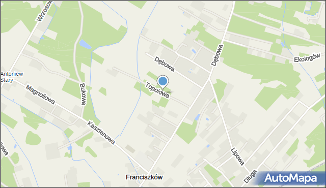 Franciszków gmina Wiskitki, Topolowa, mapa Franciszków gmina Wiskitki