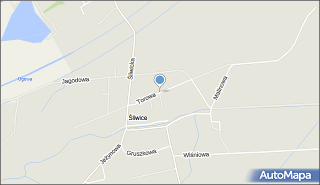 Otmuchów, Torowa, mapa Otmuchów