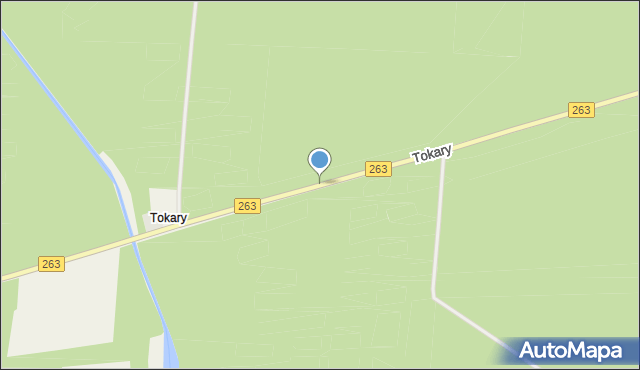 Tokary gmina Ślesin, Tokary, mapa Tokary gmina Ślesin