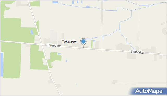 Tokarzew gmina Doruchów, Tokarzew, mapa Tokarzew gmina Doruchów