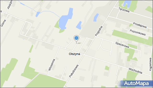 Olszyna gmina Ostrzeszów, Trzech Stawów, mapa Olszyna gmina Ostrzeszów