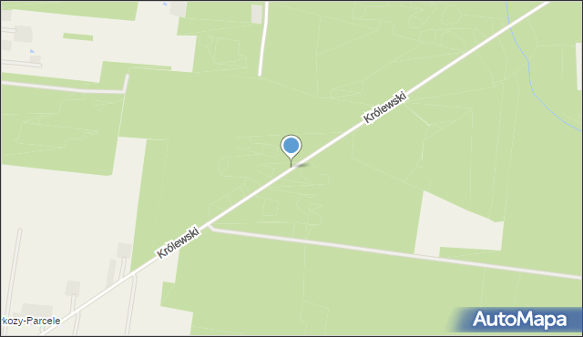 Petrykozy gmina Żabia Wola, Trakt Królewski, mapa Petrykozy gmina Żabia Wola