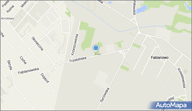 Poznań, Trzebińska, mapa Poznania