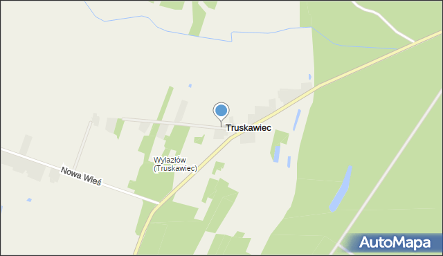 Truskawiec gmina Poddębice, Truskawiec, mapa Truskawiec gmina Poddębice