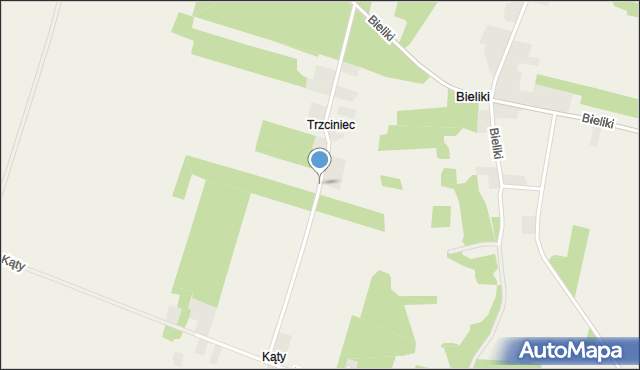 Trzciniec gmina Sulmierzyce, Trzciniec, mapa Trzciniec gmina Sulmierzyce