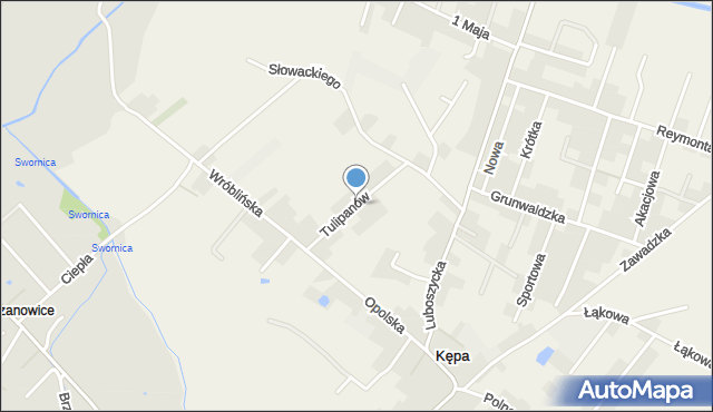 Kępa gmina Łubniany, Tulipanów, mapa Kępa gmina Łubniany
