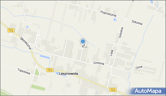 Lesznowola powiat piaseczyński, Tura, mapa Lesznowola powiat piaseczyński