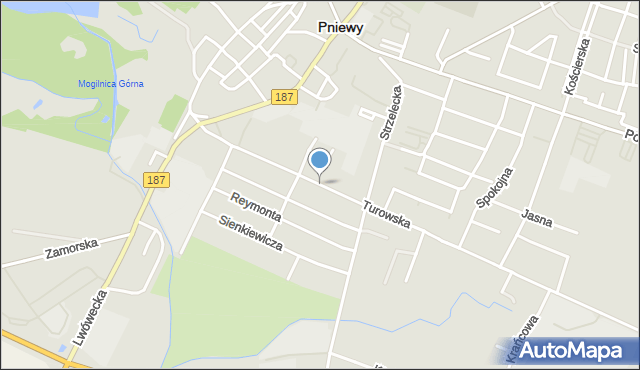 Pniewy powiat szamotulski, Turowska, mapa Pniewy powiat szamotulski