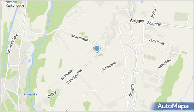Ściegny, Turystyczna, mapa Ściegny