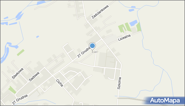 Tarnowo Podgórne, Turyńska, mapa Tarnowo Podgórne