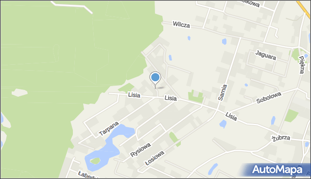 Dołuje, Tygrysia, mapa Dołuje