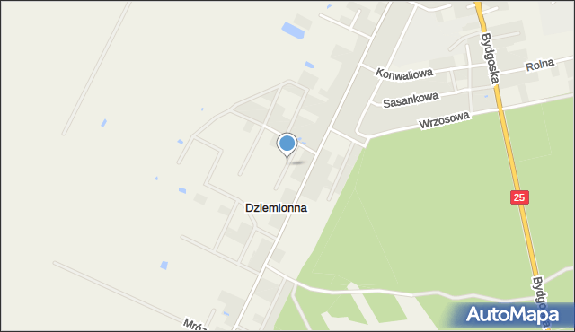 Dziemionna, Wagnera Huberta, mapa Dziemionna