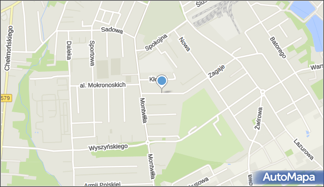 Grodzisk Mazowiecki, Waryńskiego Ludwika, mapa Grodzisk Mazowiecki