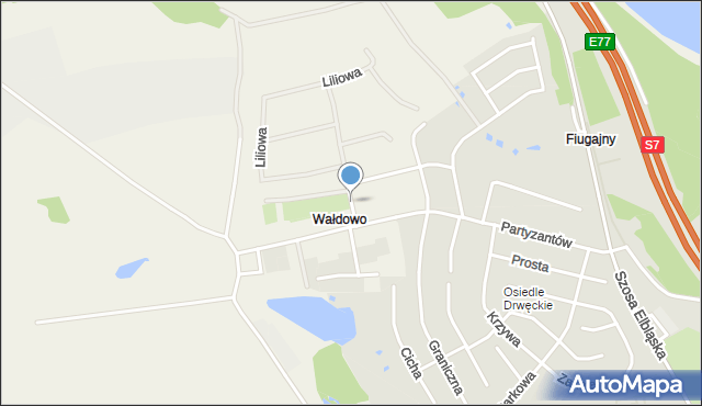 Wałdowo gmina Ostróda, Wałdowo, mapa Wałdowo gmina Ostróda