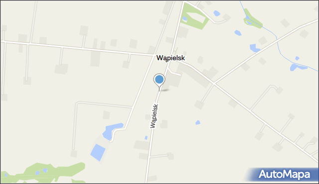 Wąpielsk, Wąpielsk, mapa Wąpielsk