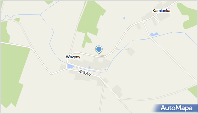 Ważyny, Ważyny, mapa Ważyny