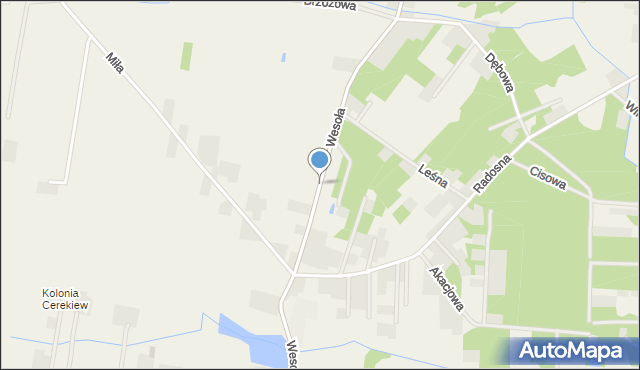 Cerekiew gmina Zakrzew, Wesoła, mapa Cerekiew gmina Zakrzew