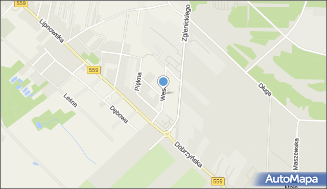 Maszewo Duże, Wesoła, mapa Maszewo Duże