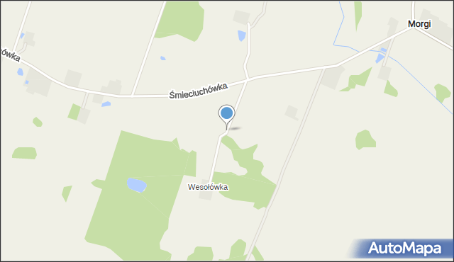 Morgi gmina Przerośl, Wesołówka, mapa Morgi gmina Przerośl