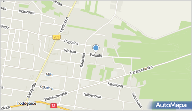 Poddębice, Wesoła, mapa Poddębice