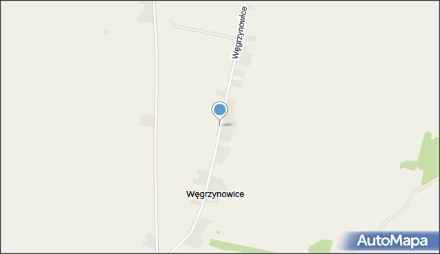 Węgrzynowice gmina Budziszewice, Węgrzynowice, mapa Węgrzynowice gmina Budziszewice