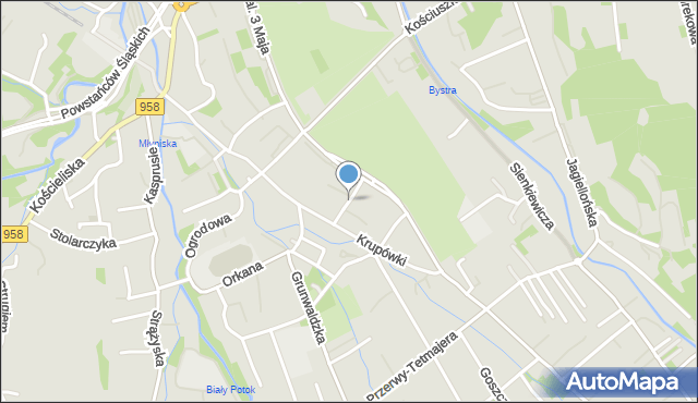 Zakopane, Weteranów Wojny, mapa Zakopanego