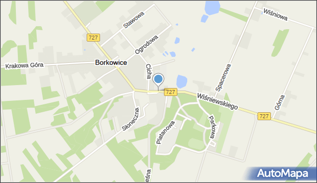 Borkowice powiat przysuski, Wiśniewskiego Jana, ks., mapa Borkowice powiat przysuski