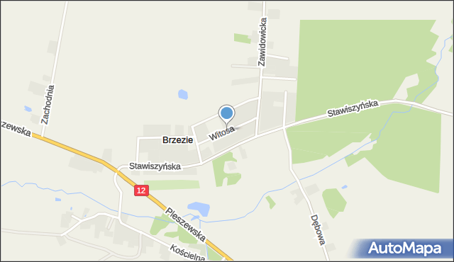 Brzezie gmina Pleszew, Witosa Wincentego, mapa Brzezie gmina Pleszew