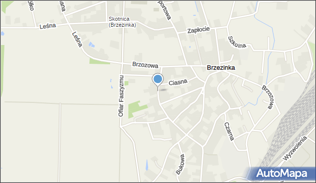Brzezinka gmina Oświęcim, Wierzbowa, mapa Brzezinka gmina Oświęcim