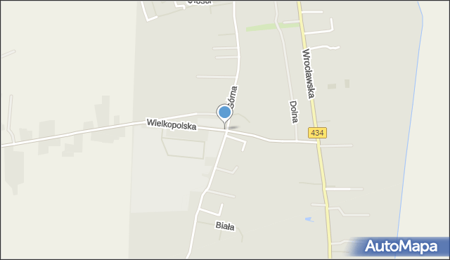 Gostyń, Wielkopolska, mapa Gostyń