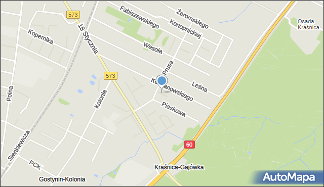 Gostynin, Wilczkowskiego Eugeniusza, mapa Gostynin
