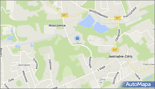 Jastrzębie-Zdrój, Witczaka Mikołaja, mapa Jastrzębie-Zdrój