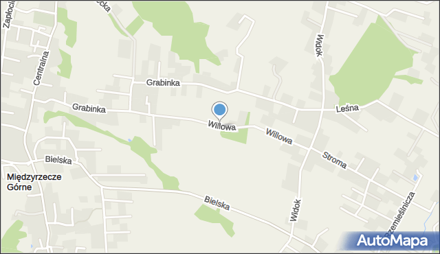 Międzyrzecze Górne, Willowa, mapa Międzyrzecze Górne