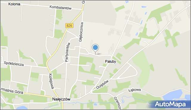 Nałęczów powiat puławski, Witkiewicza Jana Koszczyca, mapa Nałęczów powiat puławski