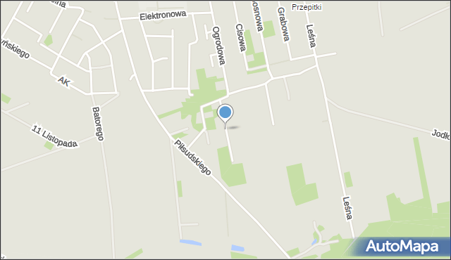 Nasielsk, Wielokwiatowa, mapa Nasielsk