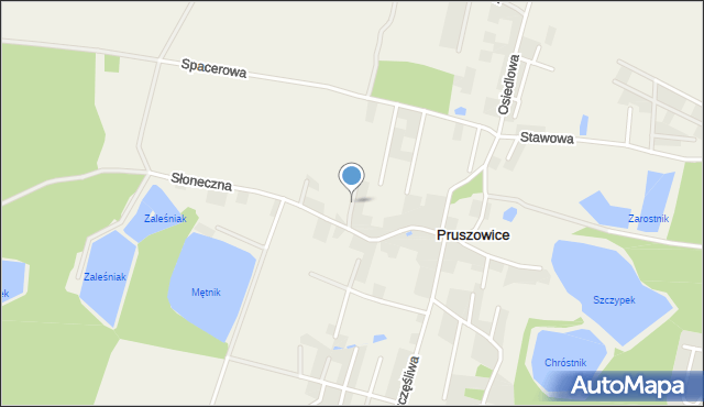Pruszowice, Wiosenna, mapa Pruszowice