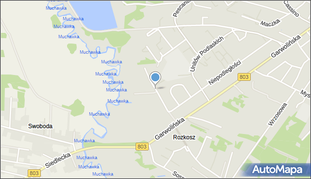 Siedlce, Wintera Antoniego, mapa Siedlce