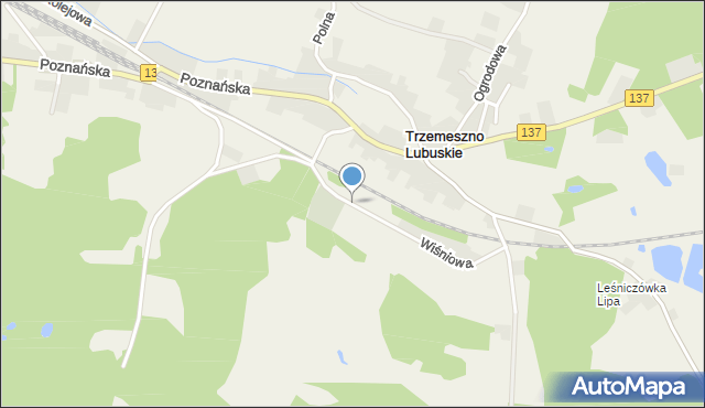 Trzemeszno Lubuskie, Wiśniowa, mapa Trzemeszno Lubuskie