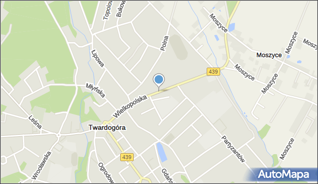 Twardogóra, Wielkopolska, mapa Twardogóra