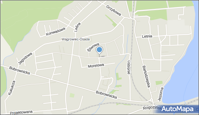 Wągrowiec, Wiśniowa, mapa Wągrowiec