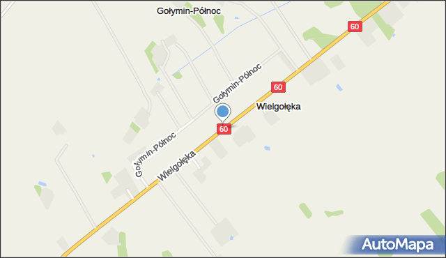 Wielgołęka, Wielgołęka, mapa Wielgołęka