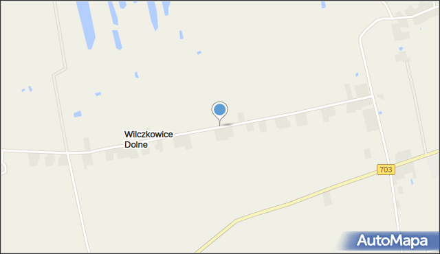 Wilczkowice Dolne gmina Łęczyca, Wilczkowice Dolne, mapa Wilczkowice Dolne gmina Łęczyca